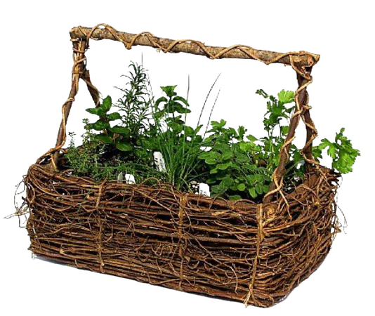 herb basket