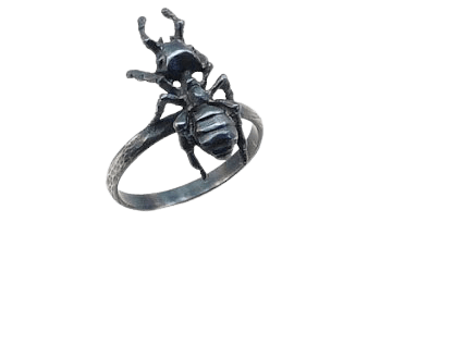 ant ring