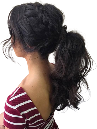 Braid High Curly Ponytail  brunette