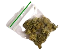 weed in a bag - Google Search