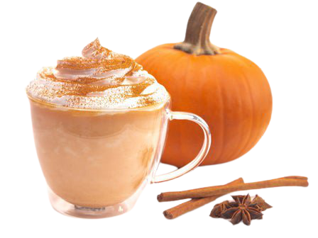 Pumpkin Spice Latte Liquid Flavor Concentrate | Etsy