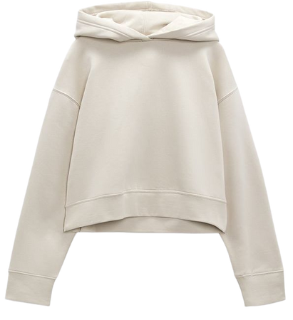 Zara hoodie