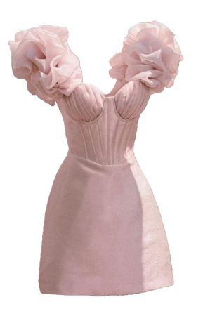 pink ruffle sleeve dress