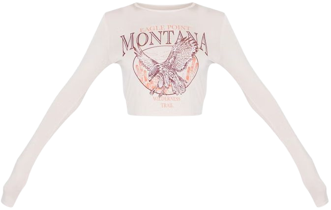 Stone Montana Printed Long Sleeve Crop T Shirt | PrettyLittleThing USA