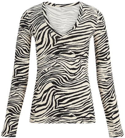 Fitted Zebra Print V-neck Long Sleeve Tee | Express