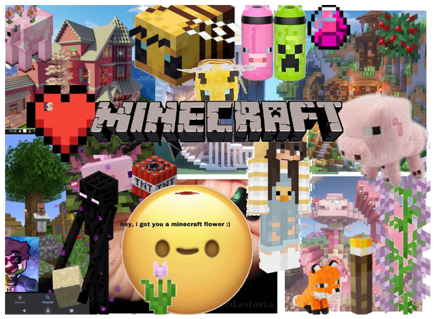 since my sister loves mincraft