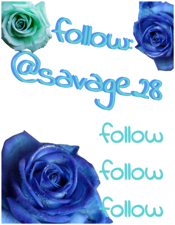 Follow @savage28