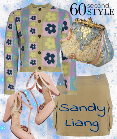 Sandy Liang