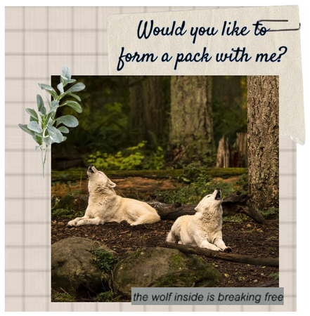 would you like to form a pack with me?