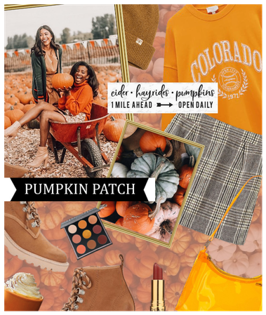 The Pumpkin Patch