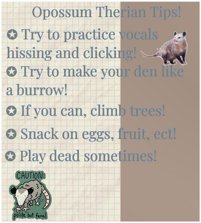 Opossum therian tips! 🐾🦝🌿