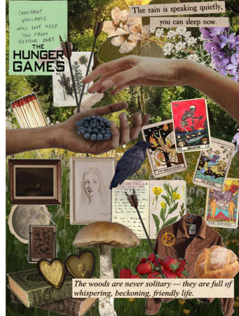 Hunger Games Book Collage