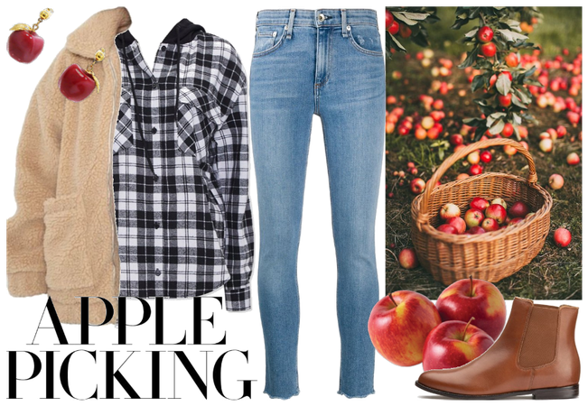 it's apple picking season!