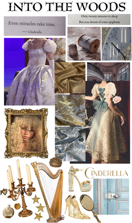 Cinderella concept into the woods