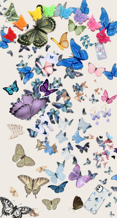 Butterfly 🦋💗