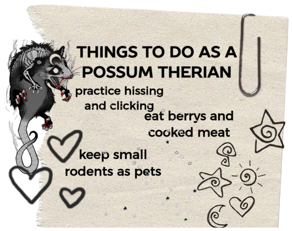 for all my possum therians