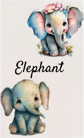 elephant backround 🐘