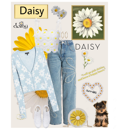 Daisy Outfit