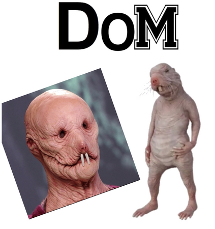 It’s dom o