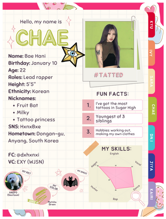 Sugar High Profile 3027 | Chae