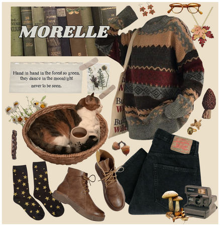 Morelle [2]