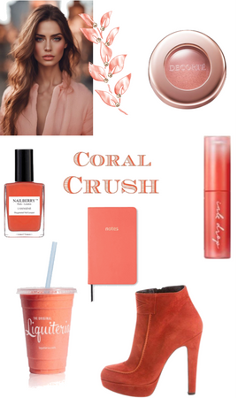 Coral🪸