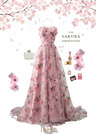 Sakura/ Cherry Blossom Season 🌸