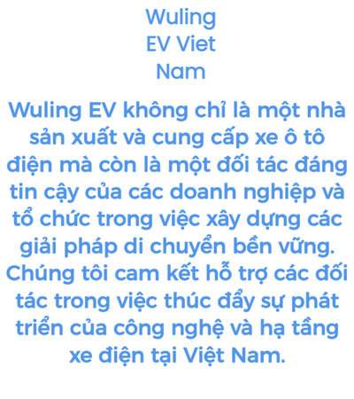 Wuling EV Viet Nam