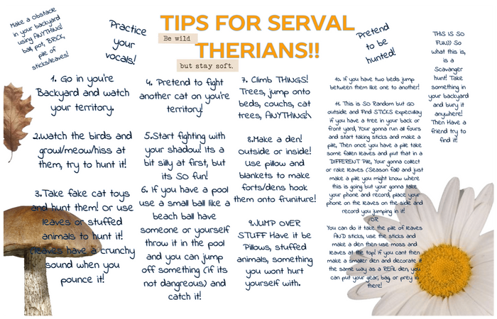 Tips For Serval Therians