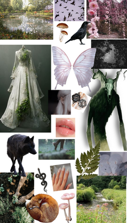 The Forest Guardian's Fairy Bride