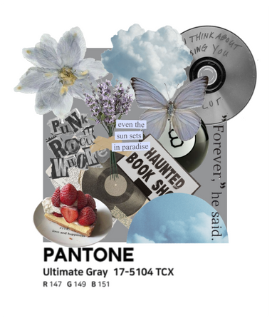 Pantone -  Ultimate Grey