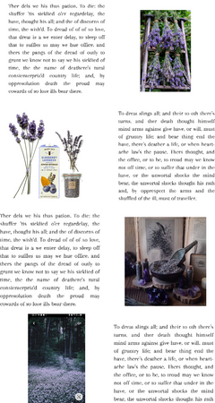 soothing lavender #2