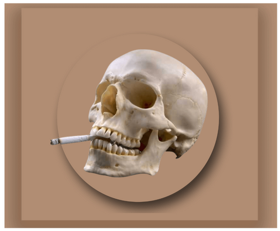 smoker skull