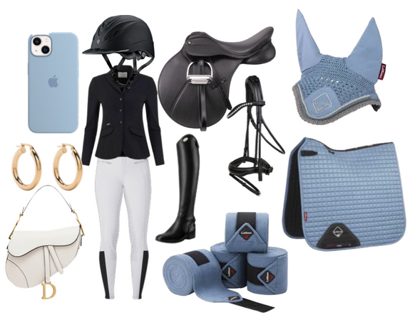 Dressage Outfit