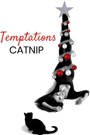 Temptations Catnip Christmas Idea