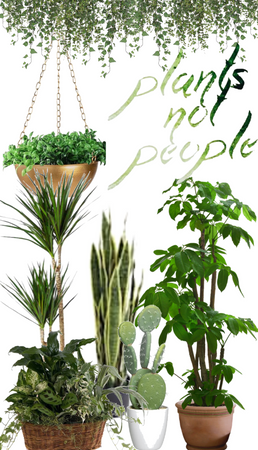 Plants Not People