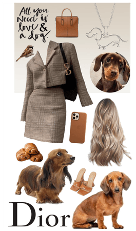 outfit 124  |  🐶  |  dachshund