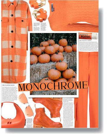 pumpkin orange monochrome 🧡