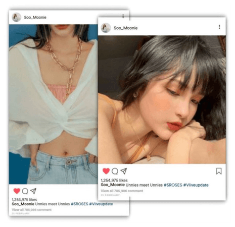 𝟱𝗥𝗢𝗦𝗘𝗦 5 장미Moon Instagram Update