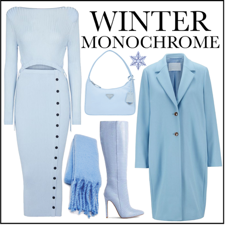 winter monocrhome