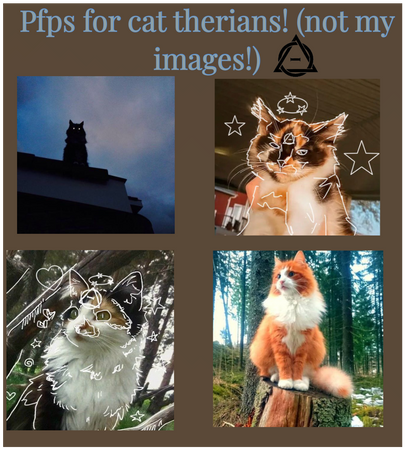 Pfps for cat therians!  ≧ⒾᆽⒾ≦