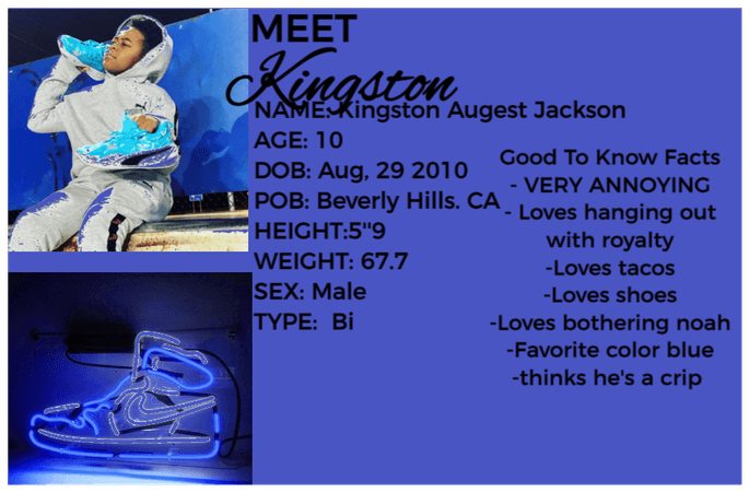 Meet Kingston