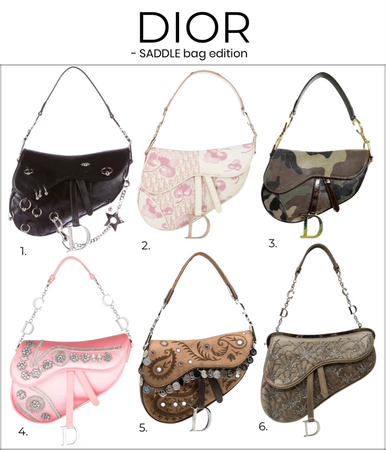Dior saddle bag edition