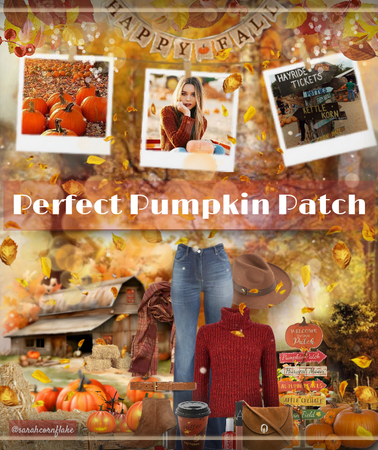 Perfect Pumpkin Patch
