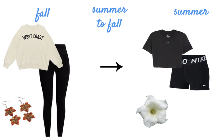 Fall to summer