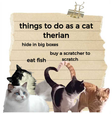 things to do as a cat therian