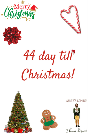 44 days till Christmas!