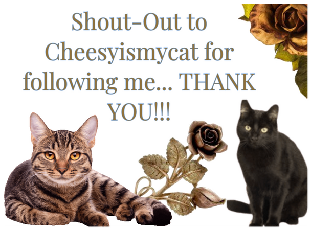 To all my followers thank you!!! Follow for update