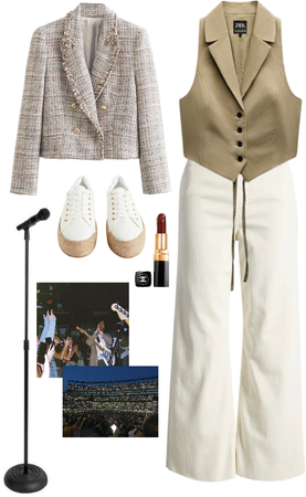 singer's concert outfit