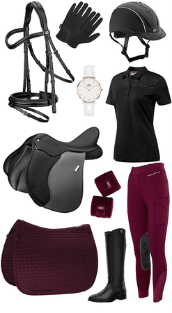 Maroon Equestrian outfit